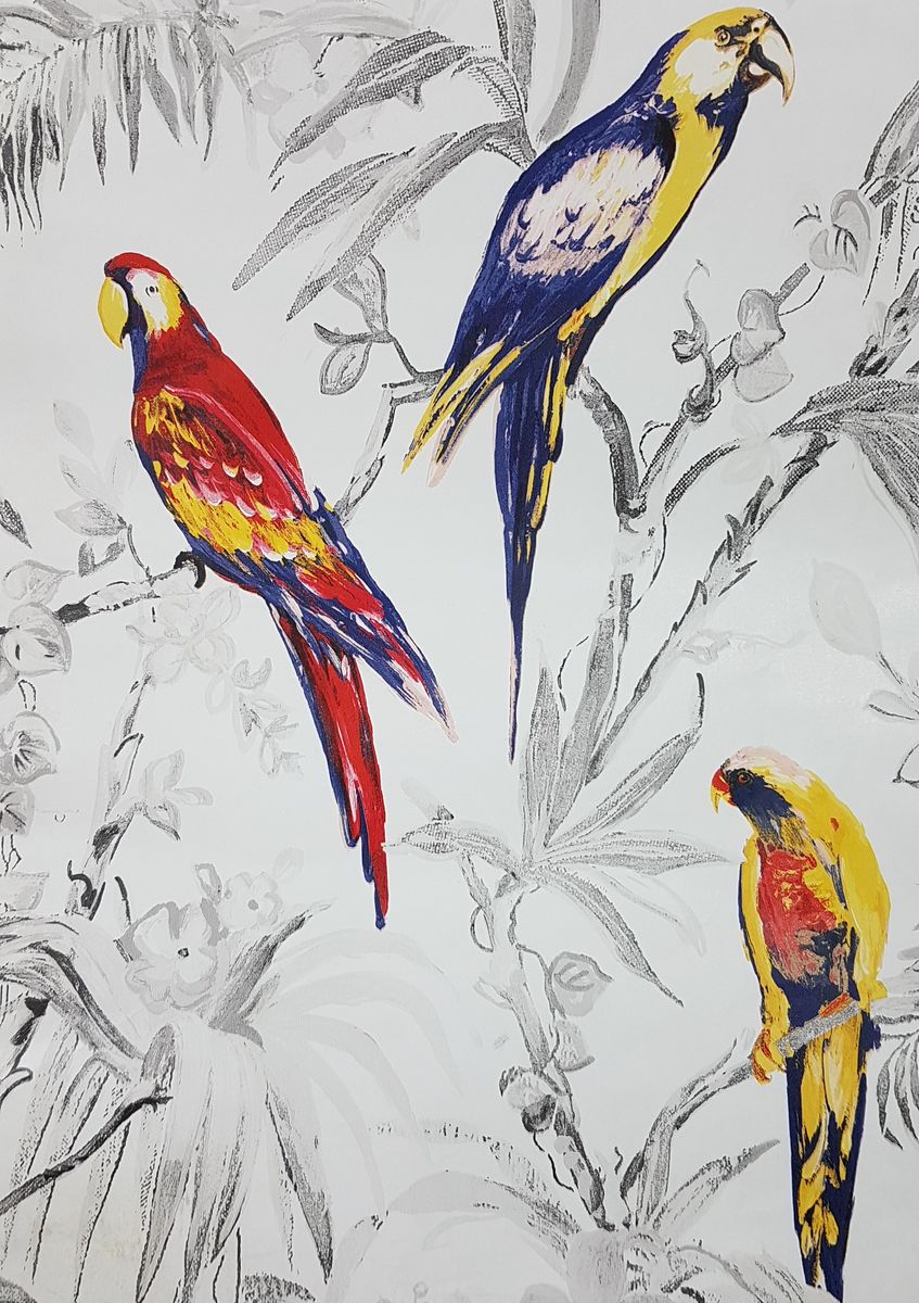 Tropical Birds Wallpaper Buy Online in South Africa