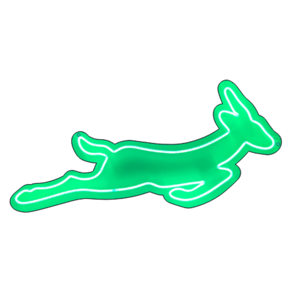 Springbok Mini Neon Light