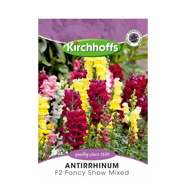Antirrhinum F2 Fancy Show Mixed