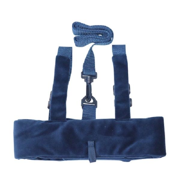 GroBaby Secure Strap Safety Harness (Blue) Buy Online in South