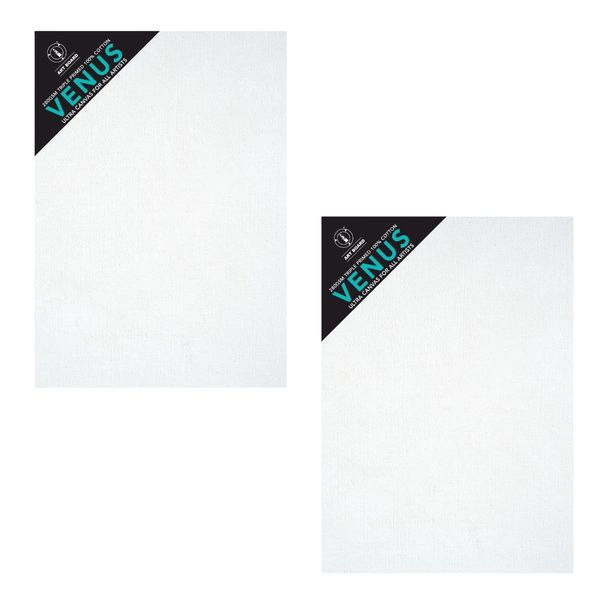 Art Board Venus Stretched Canvas 18x24 set x2