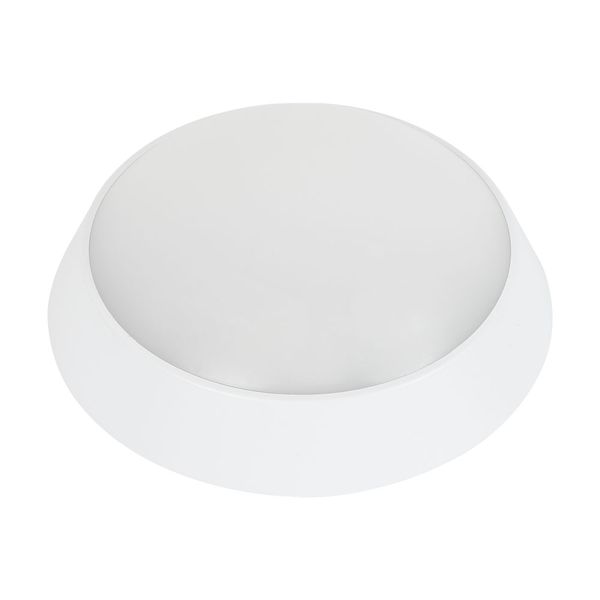 ACDC - 85-265vac Led 12w Plastic White Bulkhead Cct(3000,4200,6000k)