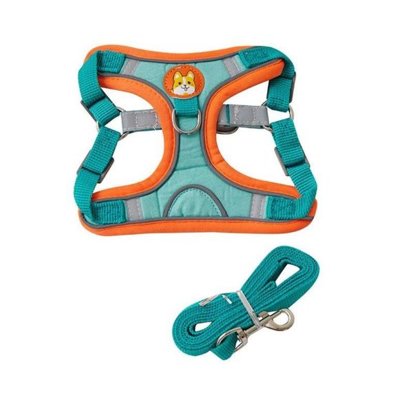 No Pull Dog Harness With Leash - Blue - Extra Small