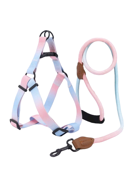 Dog Harness and Leash, Ombre Design for Medium Breeds