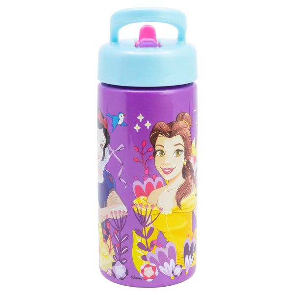 Princess Courageous Playground Sipper Bottle 420ml