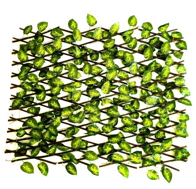 PVC Expandable Trellis 36X72 Gardenia Leaves