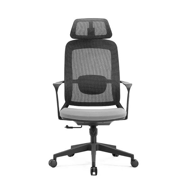 Ssie High Back Ergonomic Office Chair