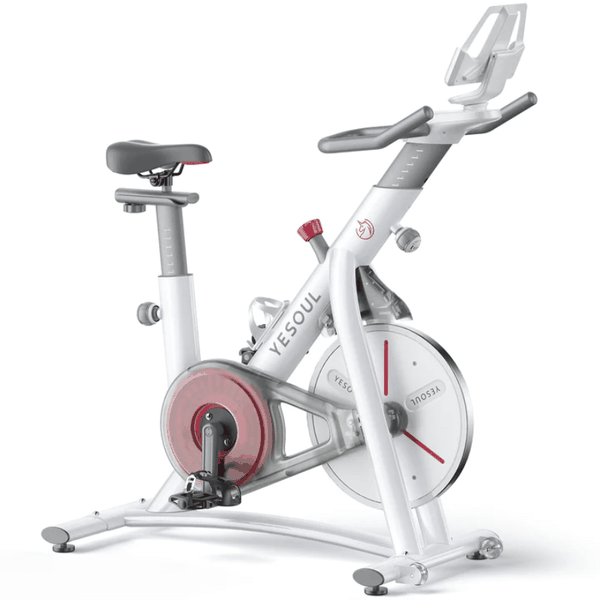 YESOUL S3 Indoor Exercise Bike