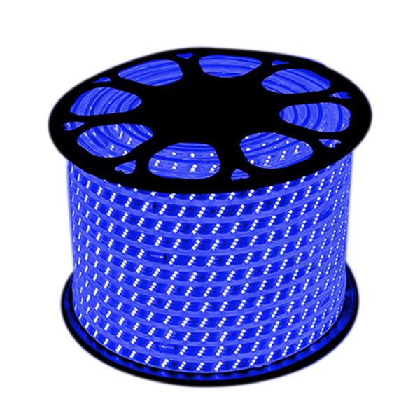 100M Blue Strip Light 220V