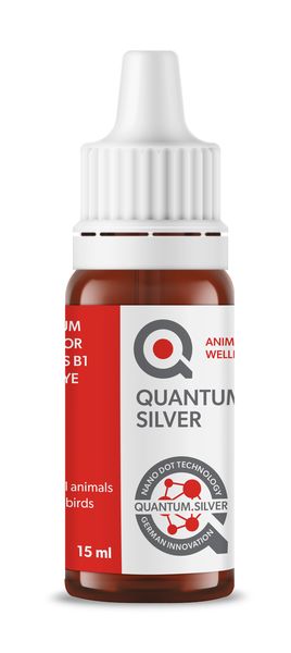 Quantum. Silver logo