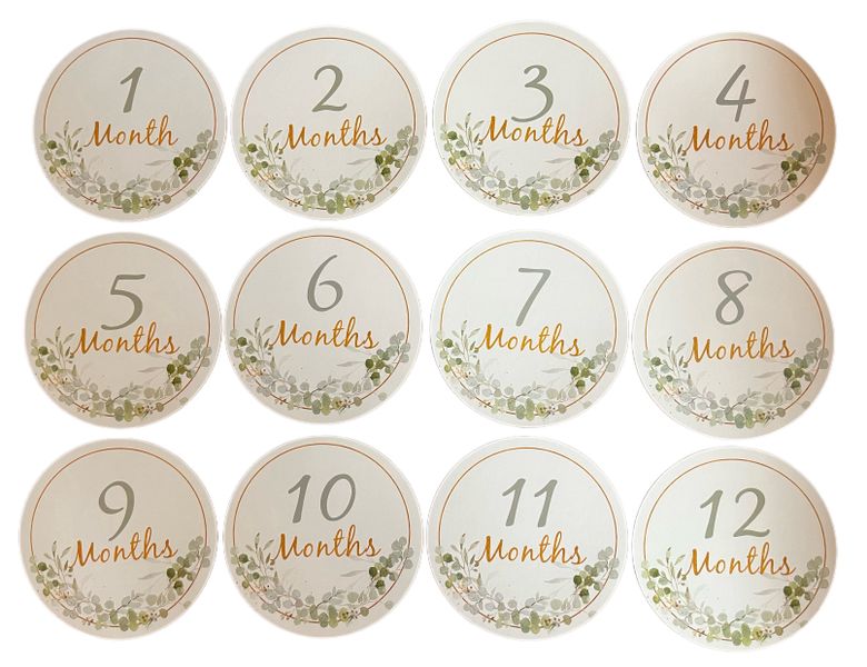 12 Milestone Cardstock Cards, Green Leaves Baby Shower Gift Nursery Decor