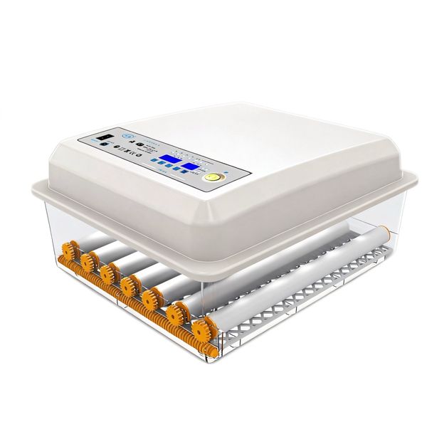 36 Incubaters &amp; Hatchers for Rggs with Self Turning &amp; Humidity Control