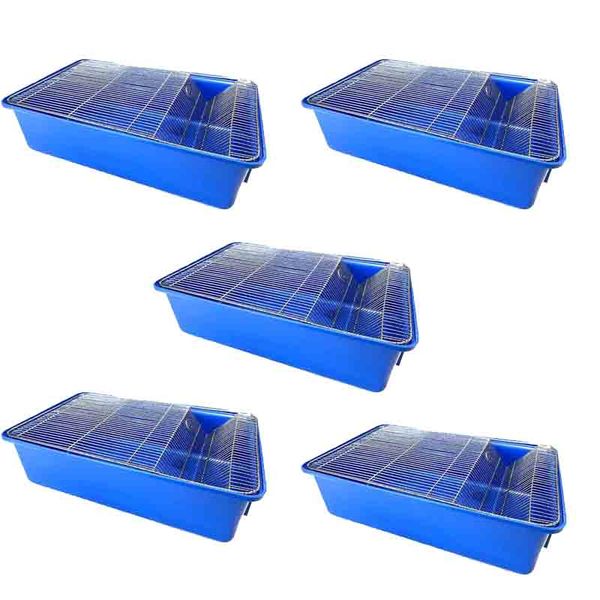 Mouse Breeder Cage Blue x 5 pc Deal Savings