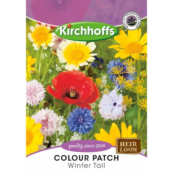 Kirchhoffs Colour Patch Winter Tall