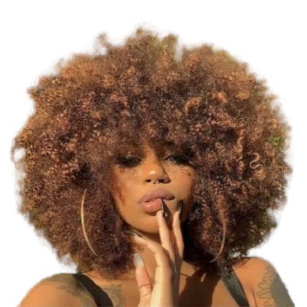 Synthetic Hair Afro Kinky Ombre Fringe wig.