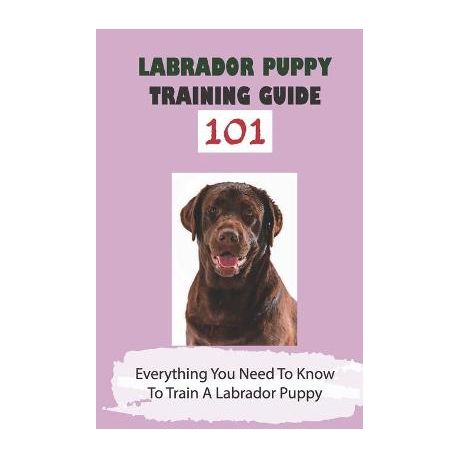 Labrador store training guide