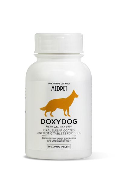 300Mg Doxydog 50 Tablets - Orange image