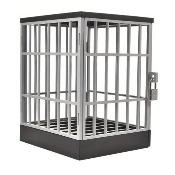 DIY Jail Cell Cage Phone Prison Storage Discipline Punishment Focus 19cm