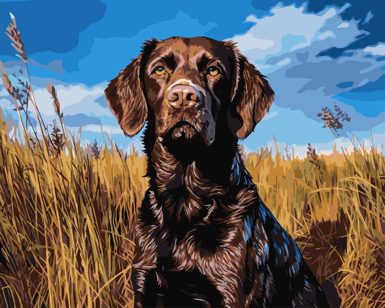 Sinoart Paint By Numbers - Man's Best Friend 40 x 50cm