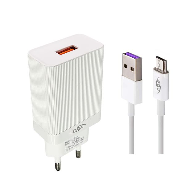 CCB 2.4A Safe micro Charger (ge16-v8)