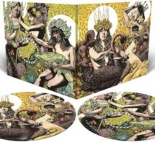 Yellow &amp; Green (Vinyl / 12" Album Picture Disc)