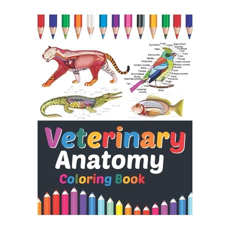 Veterinary Anatomy Coloring Book: Veterinary Anatomy Coloring and Activity  Book for Boys & Girls. Veterinary Anatomy Learning Workbook. Animal Anatomy  | Buy Online in South Africa 