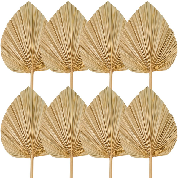 8Pcs Dried Palm Leaves Decorations Trimmed Dried Palm Spear Palm Fans