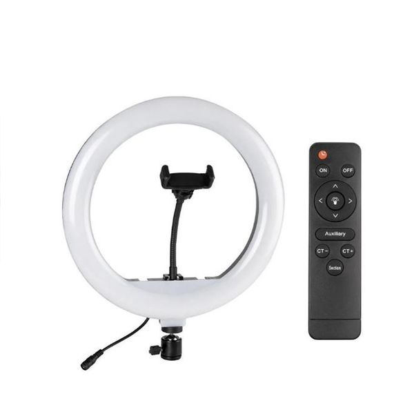 DW-AL-360 Ring Supplementary Lamp Touch Remote Control 14 Inch