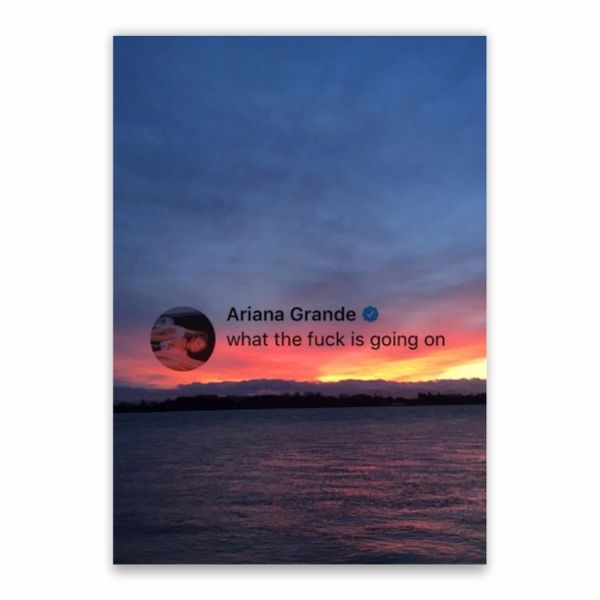 Ariana Grande Tweet Poster - A1