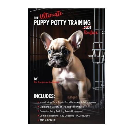 Puppy Potty Training Essentials