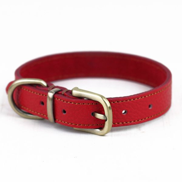 Premium Leather Buckle Collar for Small Dogs - 2cm Width Black