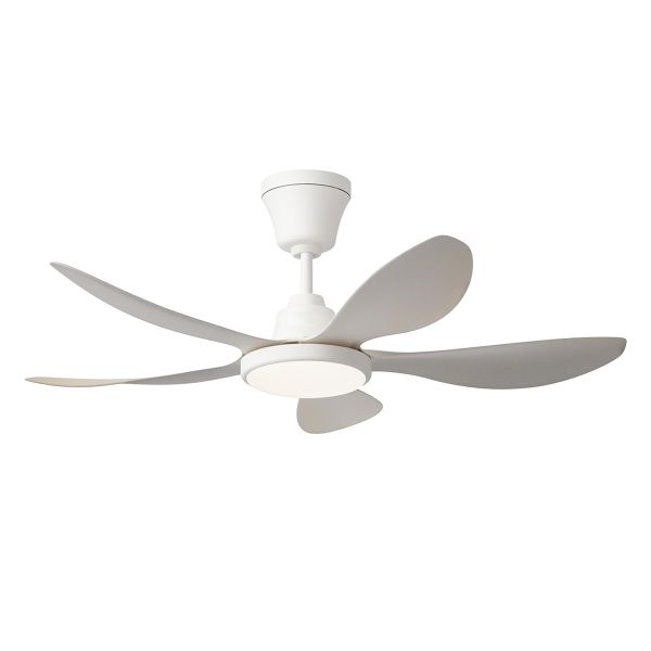 Ausma Ceiling Fan with Lights-5-Blade Chandelier Ceiling Fan with Remote