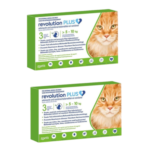 Revolution - Plus for Cats Green 1ml (>5-10KG) 3 Pipettes - 2 Pack
