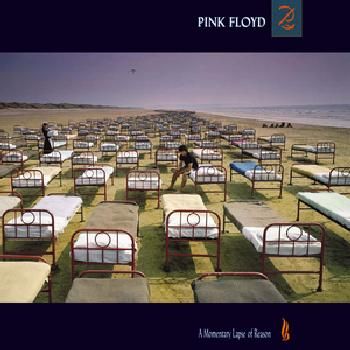 Momentary Lapse Of Reason (CD)