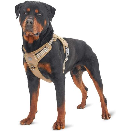 Pet supplies plus dog harness hotsell