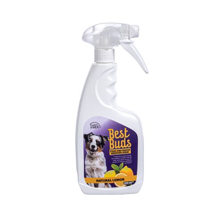 Best dog odour clearance remover