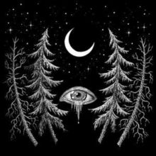 Night Spirit (CD / Album)