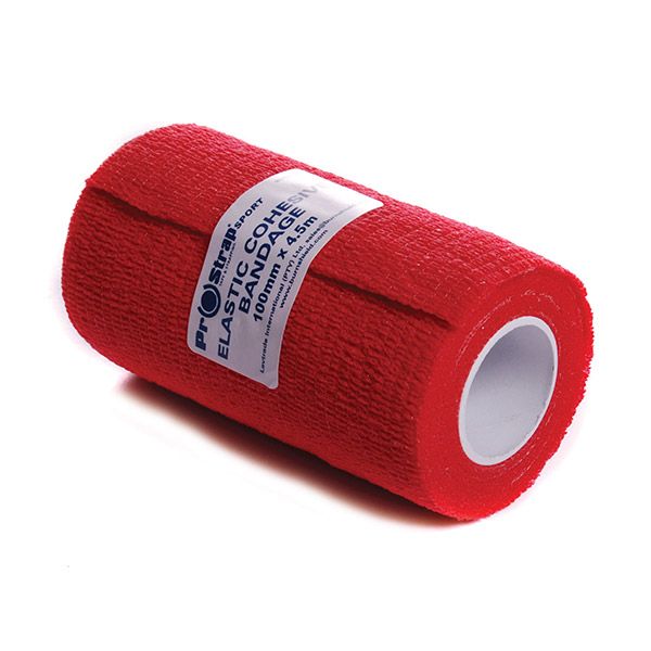 Cohesives Bandages 100mm 4's