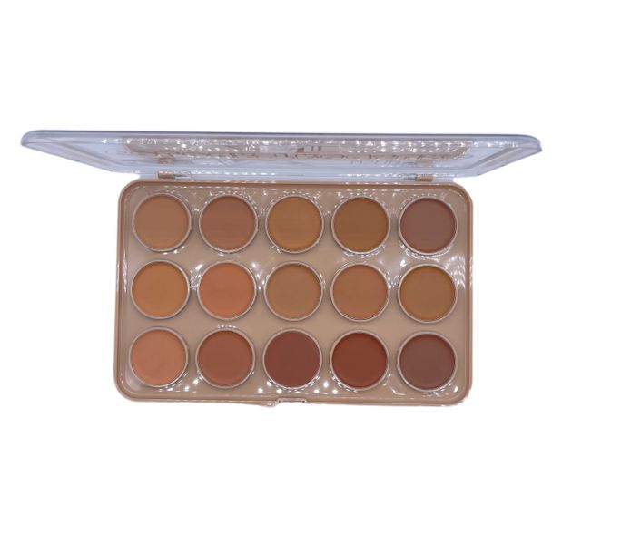 Ushas Colour Treasure Make Up Concealer Palette 15 Colours