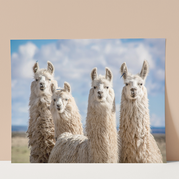 Animals of Argentine North Wall Print
