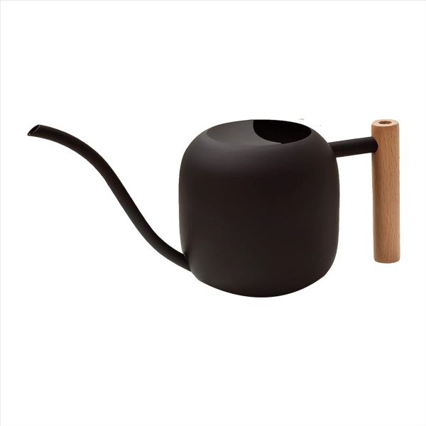 Watering Can Indoor Plants, 1.2L/41OZ Cute Watering Can Pot, Stainless Stee