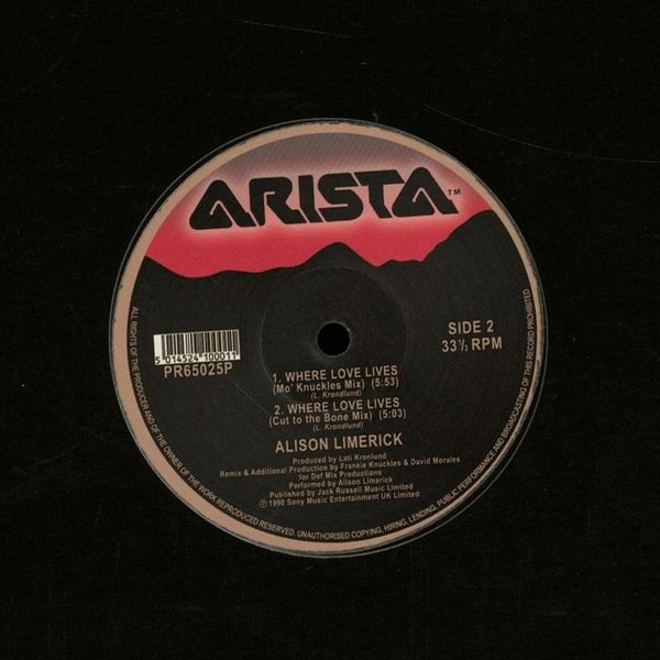 Alison Limerick - Where Love Lives 12" Single (Used)