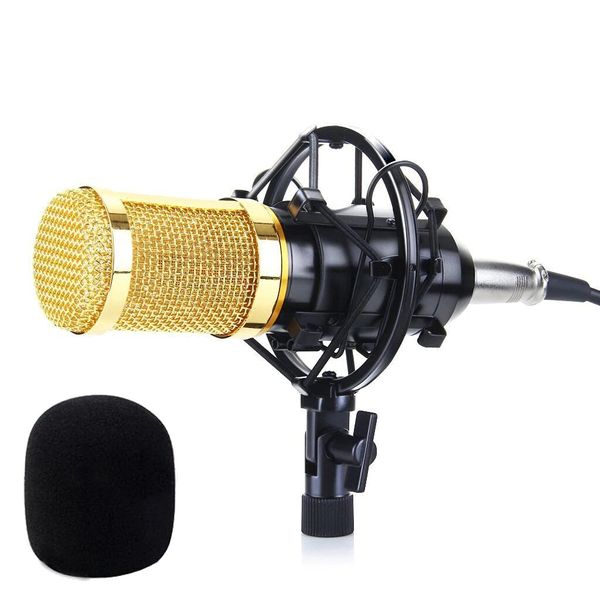 Professional Condenser Microphone Q-MIC3