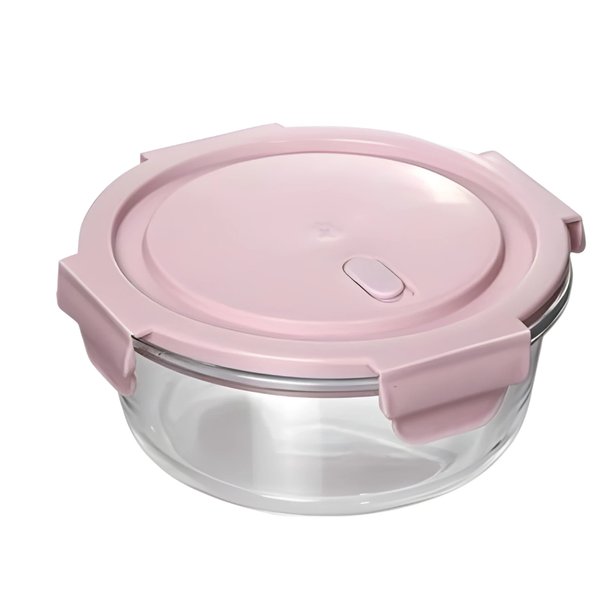 Glass Lunch Box Partition &amp; Airtight Lid - Nordic Colours