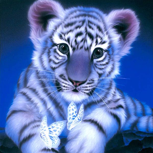 Diamond Dot Painting With Frame - Cute Tiger