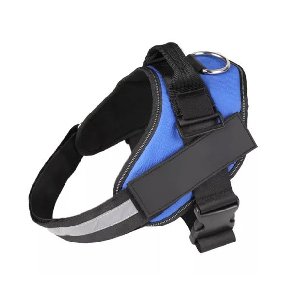 Dog Harness &amp; Lead - Blue