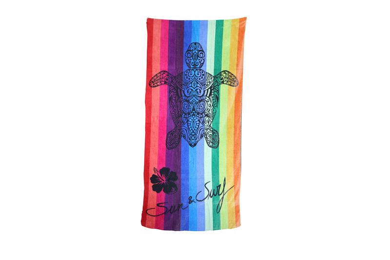 Rainbow Turtle image