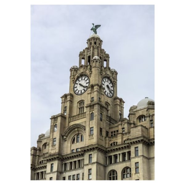 The Liver Bird - A1 Poster