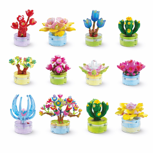 12-in-1 Cute Succulent Arrangement - Multicolor