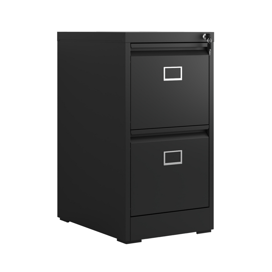 Steel Big Size Vertical 2 Drawer Filing Cabinet Swan Handle with Card Slot